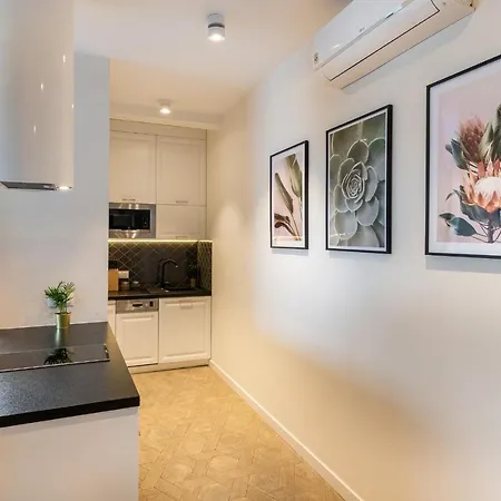 3 Minutes Old Town 公寓 克拉科夫